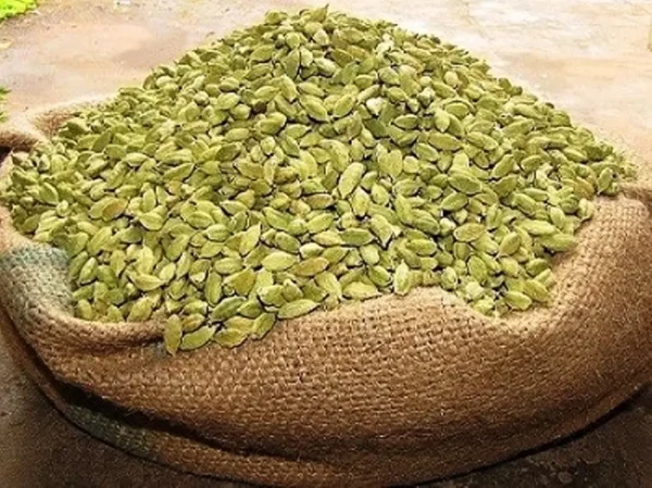 GREEN CARDAMOND - Image 2